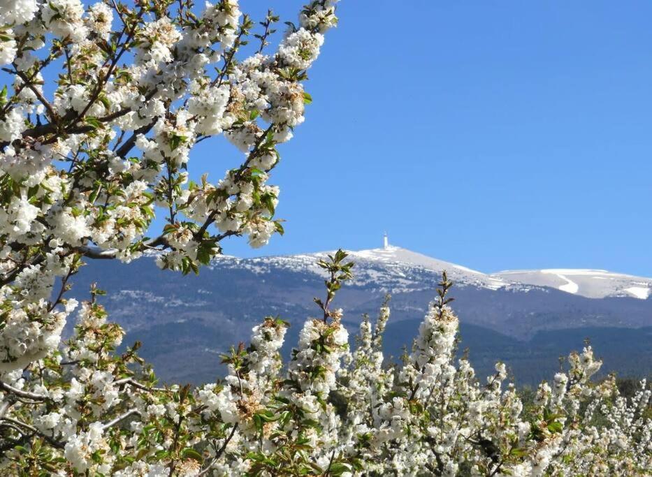 Les Tarraiettes Au Pied Du Luberon Lourmarin Exterior foto